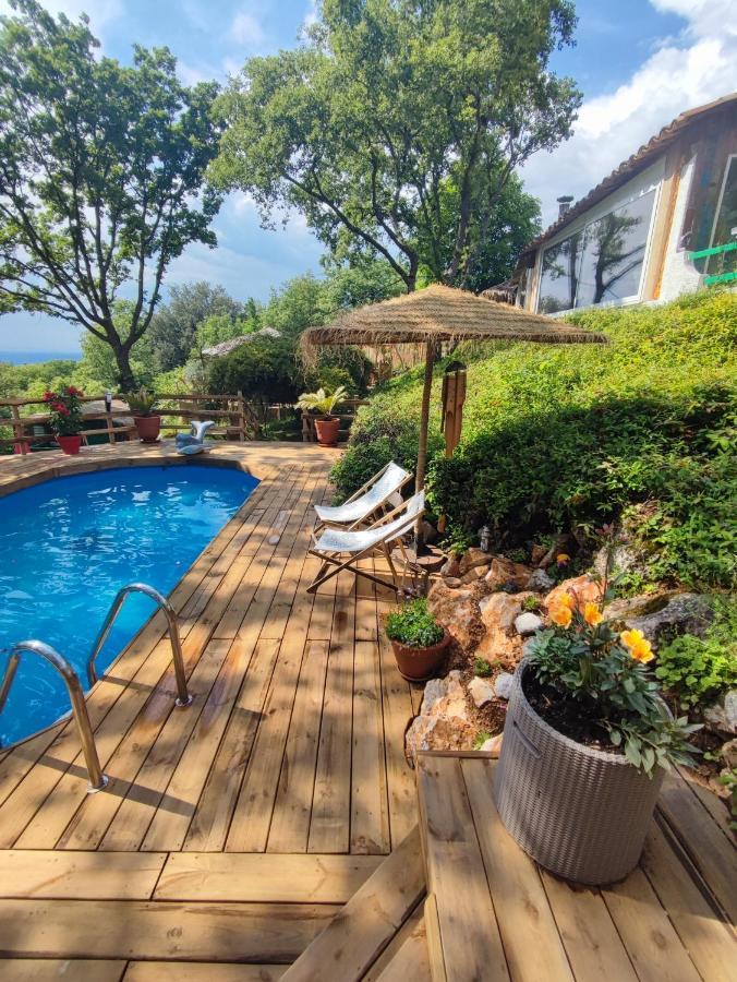 Bed and Breakfast La Lyalis Еґін Екстер'єр фото