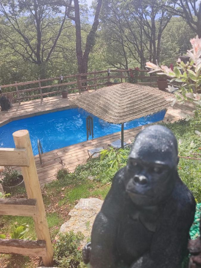Bed and Breakfast La Lyalis Еґін Екстер'єр фото